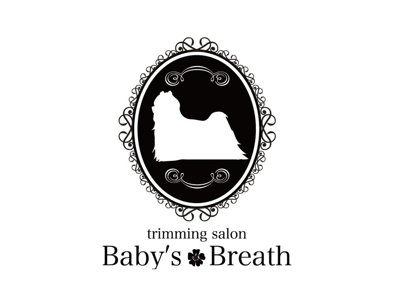 Baby’s Breath