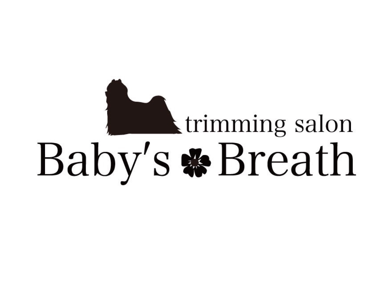 Baby’s Breath